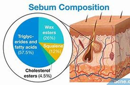 Acnes Top 10 FAQs