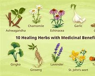 Natural Herbal Remedies-Harmful Effects and Things to Avoid