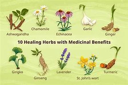 Herbal flu remedies