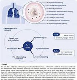 The Key to Quit Smoking