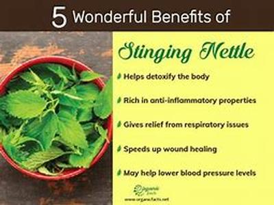 Health Benefits of Bitter Melon