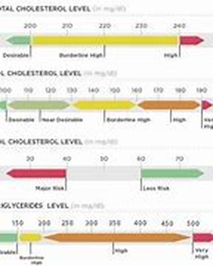 Keyword phrase  Cholesterol Lowering Food