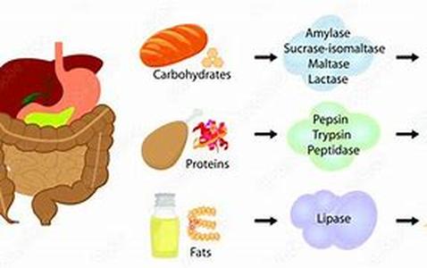 Different Ways Of Fasting