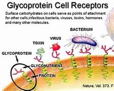 Glucose - Is It Good For Anything