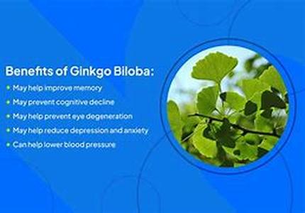 Keyword  :  Biloba Depression Ginkgo