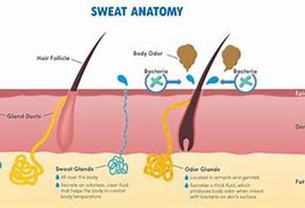 Skin Care Facial Beauty Tip  It does not mean that when your external layer is unsoiled, you have been performing the correct procedures