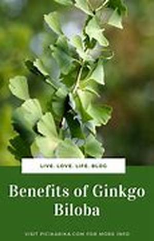 Keyword : Ginkgo biloba use