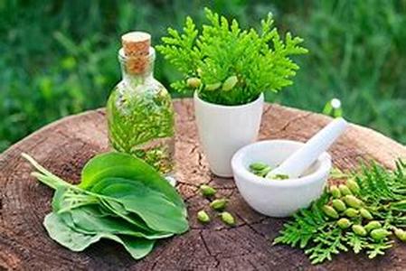 Natural Herbs for Natural Detox  Detoxification is currently becoming one of the most popular solutions for keeping your body healthy and strong