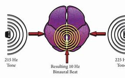 Bilberry Fights Night Blindness And Other Diseases