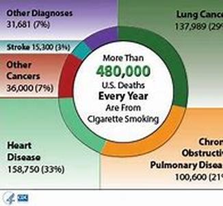 Smoking Cigars and Health  The fad of cigar smoking regains its popularity way back in the mid 1990s when famous celebrities pose willingly in front of the camera smoking a stick of cigar