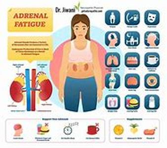 Adopting A Low Carb Diet