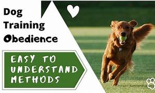 Dog Training Basics  Its A Snap