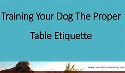 Training A Dog  Positive And Negative Reinforcements