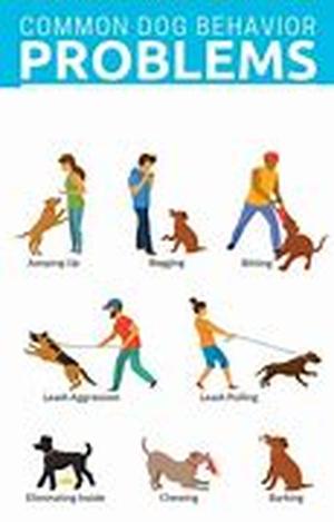 Dog Aggressive Training: Understand  Eliminate Your Dog's Aggressive Behavior