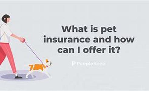 Pet Insurance