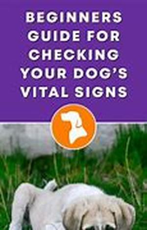 How To Help Dogs That Are Hypoallergenic