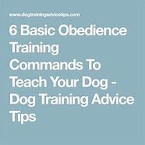 Dog Training - Simplified