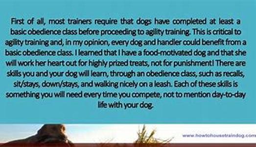 Dog Training Part V: The Command Voice