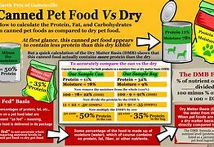 Why Your Cat Wont Use His Litter box