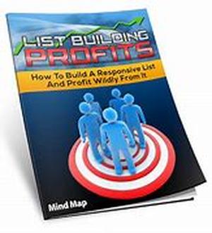 Building Your Way To Online Success-Part 4