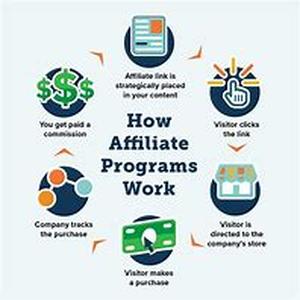 Affiliate Criteria: 3 Things To Examine Before Signing Up