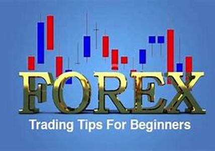 How to Get the Best Forex Trading Software to Assist You with Your Trades