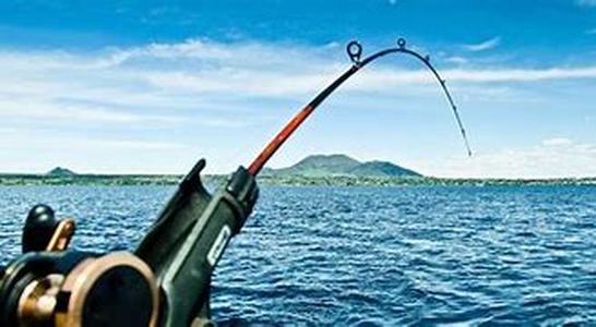 Some Basic Facts about Fishing Gear