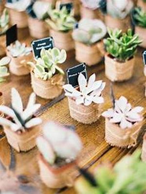 Selecting Wedding Favors