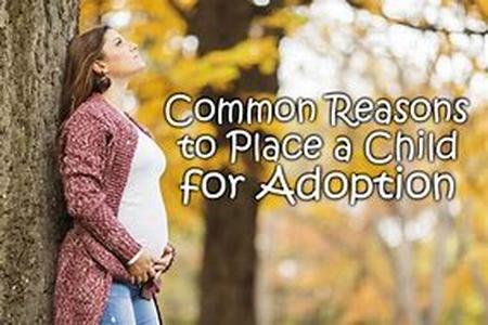 All About Adoption Agencies