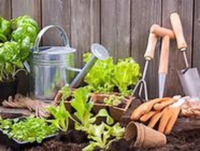 Gardening: A Fun and Creative Backyard Project