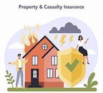 Citizens Property Insurance Corp