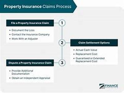 Citizens Property Insurance Corp