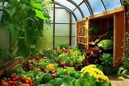 How Does Greenhouse Humidification Work