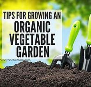 The Principles of Organic Vegetable Gardening