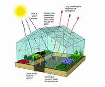 5 Factors to Consider When Choosing Greenhouse Lighting