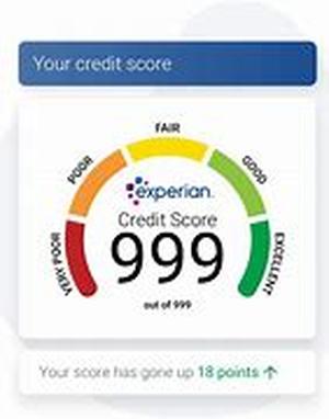 Unlimited Credit Scores