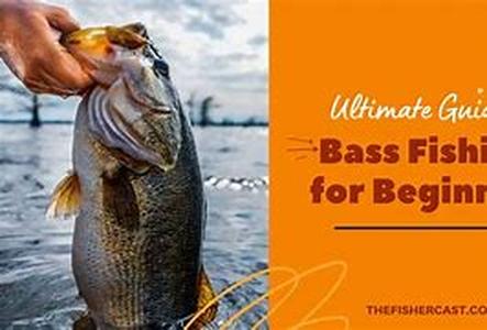 The Fantastic Bass Fishing Experience in Central