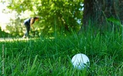 Golfing In Maui