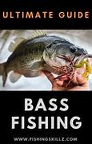 Bass Fishing Facts You Need To Know