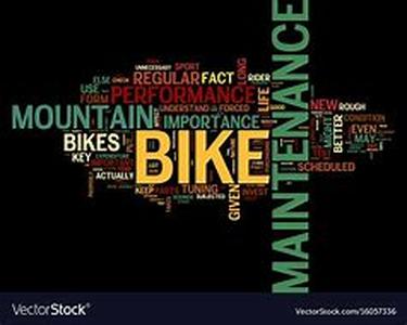 The Importance Of A Good Mountain Bike