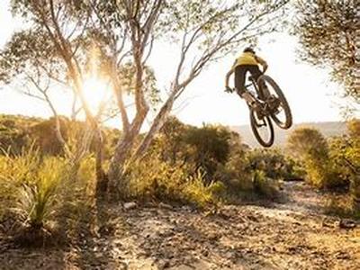 Mountain Bikes - Not Just For Mountains Anymore