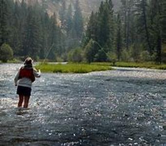 Fly Fishing Equipment: The Basic Choices in Fly Fishing Rods