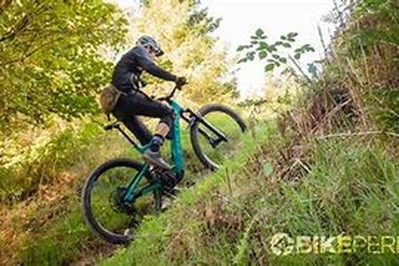 Mountain Bikes That Fit