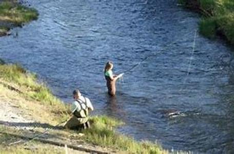 Finding Those Big Fat Walleye Fish In The Fall