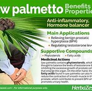 Saw palmetto for blood clotting in surgery  Saw palmetto extracts are thought to treat various illnesses associated with the bladder, urinary tract, hormonal imbalance, fertility, enuresis, nocturia, kidneys, sexual dysfunction, and bronchitis