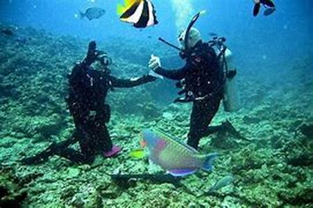 Scuba Diving While Vacationing in Mexico