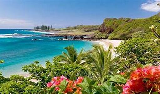 Maui Home Rentals  Home rentals in Maui are highly growing as the number of people who visit the place for vacations or trips is quickly rising