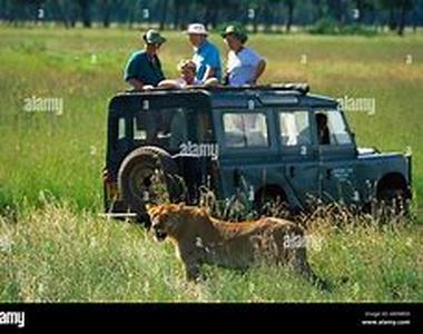 African Safaris - What Kind Are There