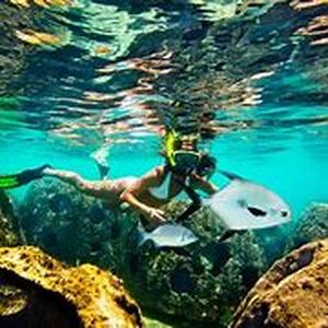 Grand Cayman Scuba Diving