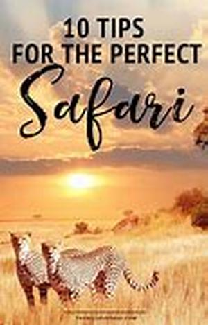 Safari Hats: A Glimpse In History